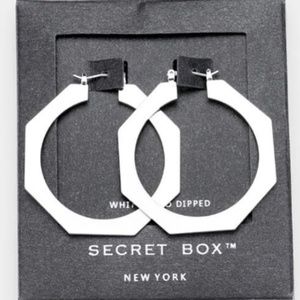 Secret Box _ White Gold Dipped Hoop Pin Catch Earr